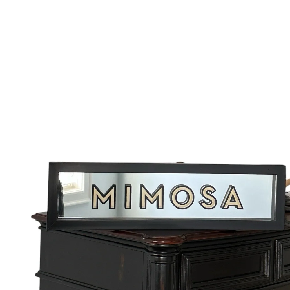 Z Gallerie Mirrored ‘Mimosa’ Framed Wall Art Decorative Home Accent Sign 25x7”